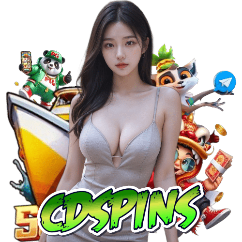 cdspins เปิด 24 ชั่วโมง